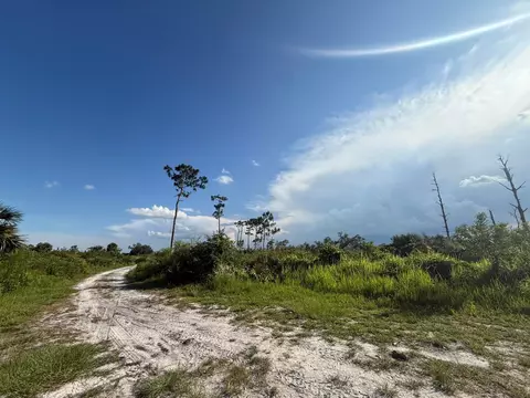 3349 NE 301st Blvd, Okeechobee, FL 34972 photo 7