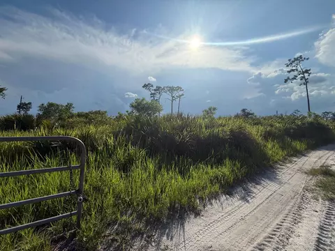 3349 NE 301st Blvd, Okeechobee, FL 34972 photo 5