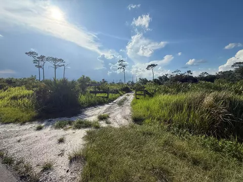3349 NE 301st Blvd, Okeechobee, FL 34972 photo 3
