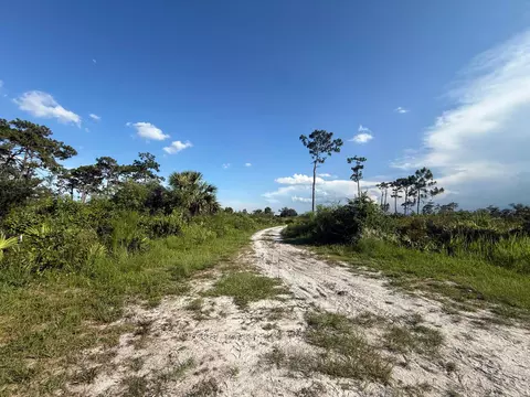 3349 NE 301st Blvd, Okeechobee, FL 34972 photo 19