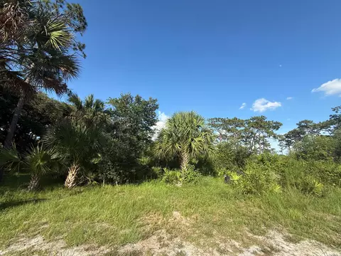 3349 NE 301st Blvd, Okeechobee, FL 34972 photo 20