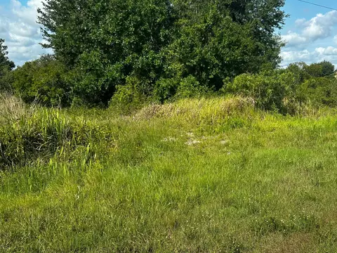 15138 NW 262nd St, Okeechobee, FL 34972