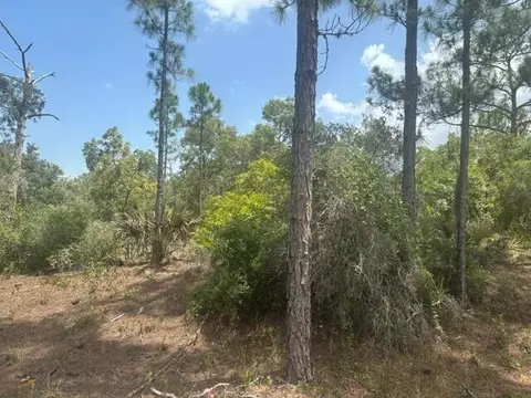 387 Marionette Ave, Lake Placid, FL 33852