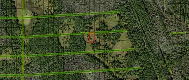 0 Commonwealth Ave N, Polk City, FL 33868