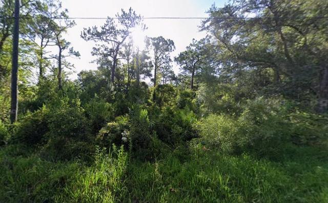 tbd Atlee St, New Port Richey, FL 34654