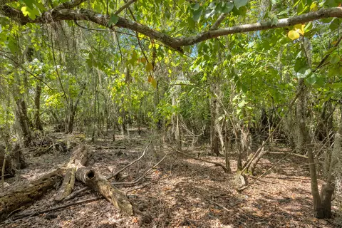 0000 Cummer Rd, Deland, FL 32720