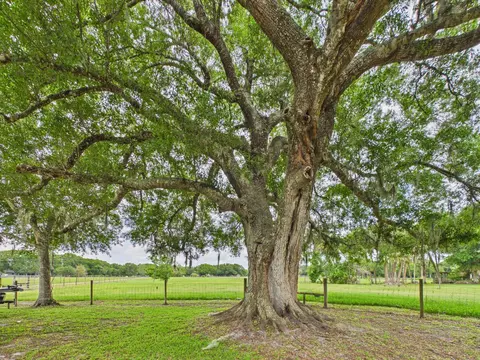 Other - 220 SW 67th Dr, Okeechobee, FL 34974 photo 2 of 5