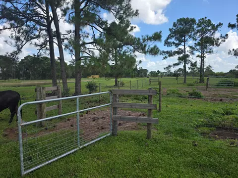 12271 NE 124th Ave, Okeechobee, FL 34972 photo 10