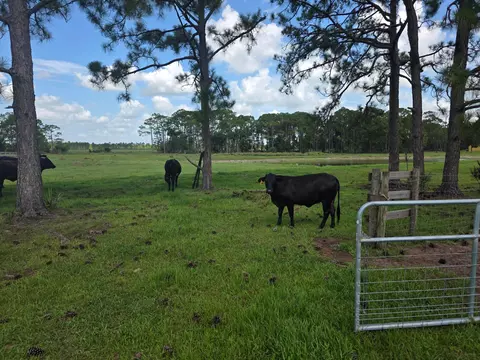 12271 NE 124th Ave, Okeechobee, FL 34972 photo 11