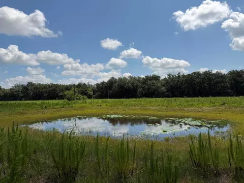 16477 NW 192nd St, Okeechobee, FL 34972 photo 6
