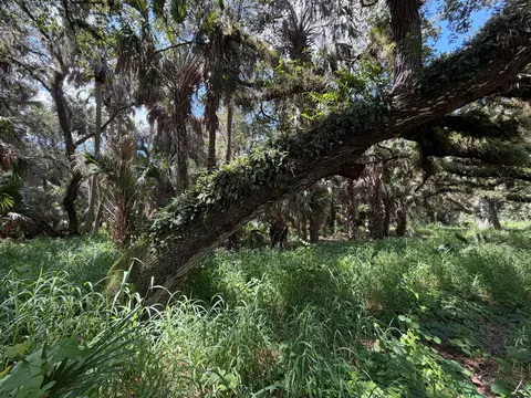 16477 NW 192nd St, Okeechobee, FL 34972