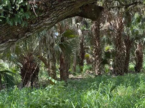16477 NW 192nd St, Okeechobee, FL 34972 photo 2