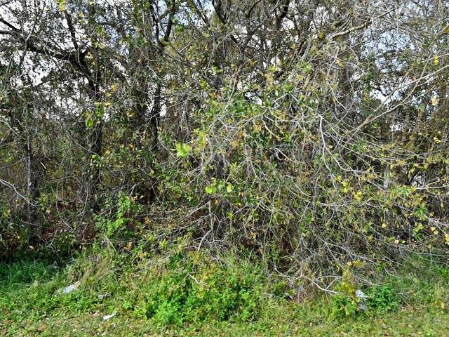 5109 La Salle St, Fort Pierce, FL 34951