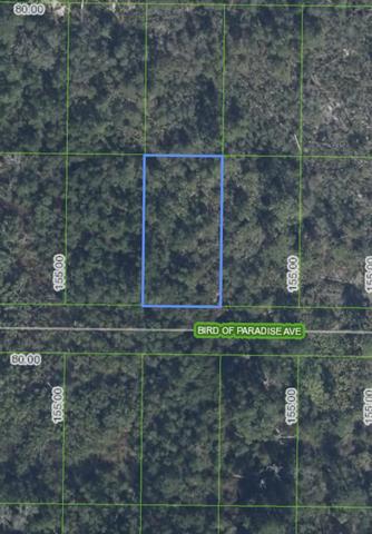 2330 Bird Of Paradise Ave, Sebring, FL 33875