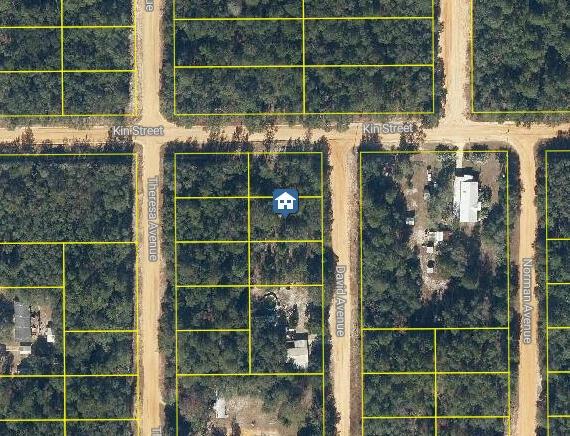 lot31 David Ave, Interlachen, FL 32148