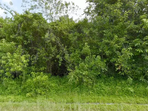 1081 SW Dartmouth Ave SW, Port St Lucie, FL 34953