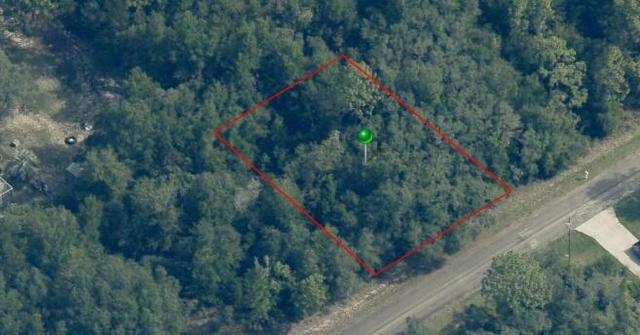 8080 N Fieldstone Pt, Dunnellon, FL 34433