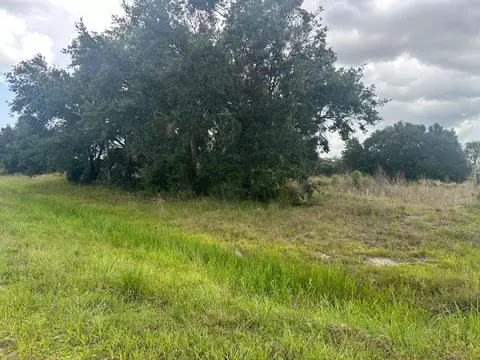 0 NW 313th St NW, Okeechobee, FL 34972 photo 3