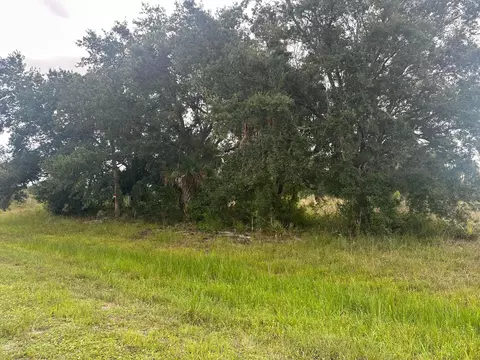 0 NW 313th St NW, Okeechobee, FL 34972 photo 2