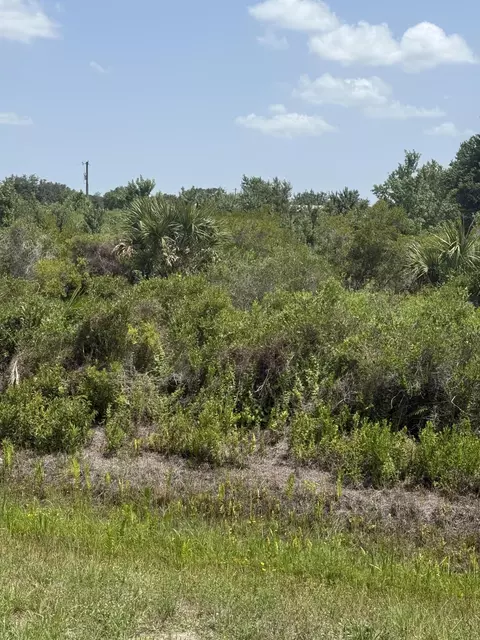 20862 NW 262nd St, Okeechobee, FL 34972 photo 3