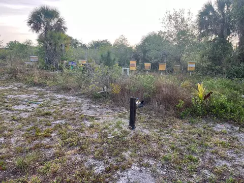 15148 NW 288th St, Okeechobee, FL 34972 photo 15