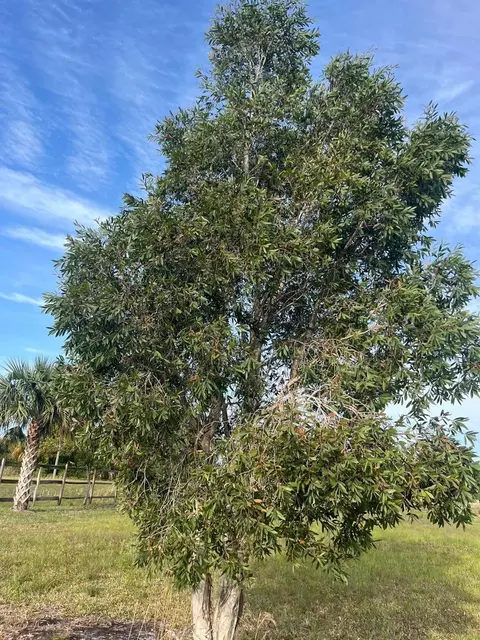 15148 NW 288th St, Okeechobee, FL 34972 photo 41