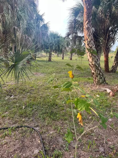 15148 NW 288th St, Okeechobee, FL 34972 photo 36