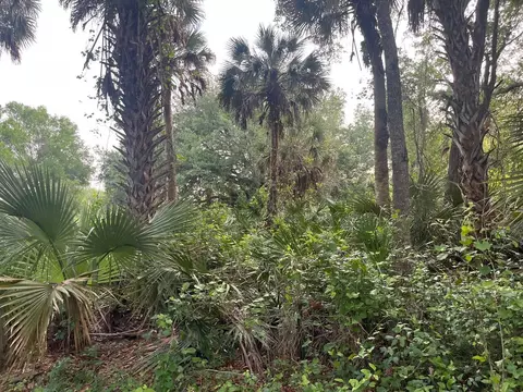 15148 NW 288th St, Okeechobee, FL 34972 photo 18
