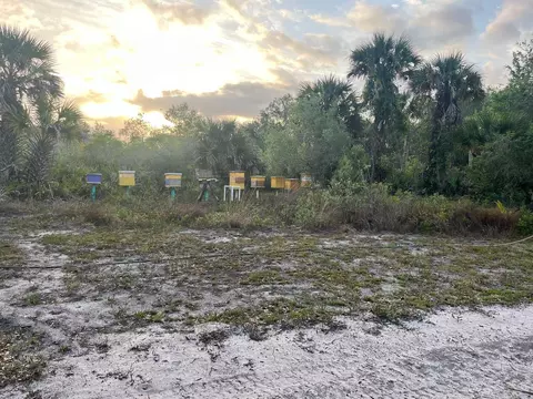 15148 NW 288th St, Okeechobee, FL 34972 photo 14