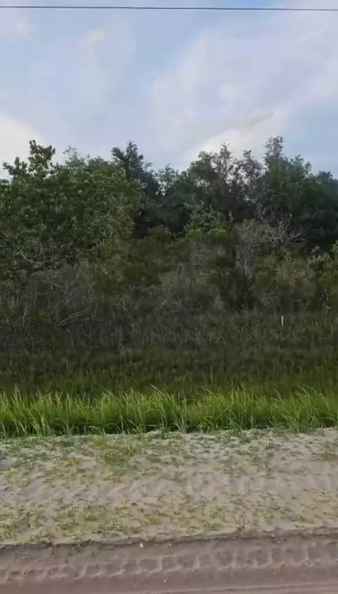 15775 NW 304th St, Okeechobee, FL 34972 photo 3