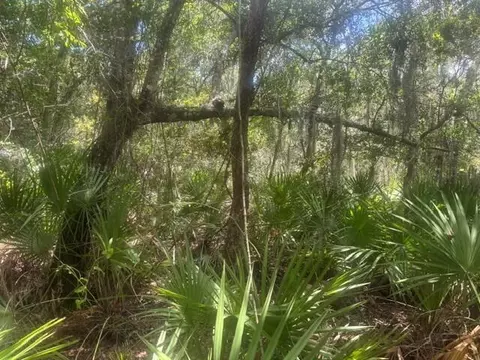 0 Ave O Ave, Ormond Beach, FL 32174 photo 3