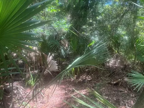 0 Ave O Ave, Ormond Beach, FL 32174 photo 2