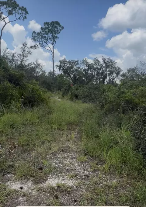 651 Mckinley St, Lake Placid, FL 33852