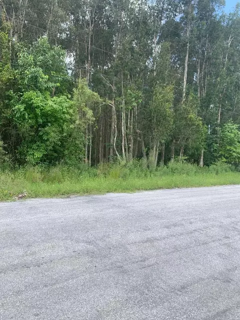 0000 87th St N, The Acreage, FL 33412