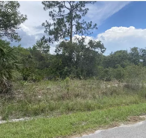 1010 Archie Summers Rd, Lake Placid, FL 33852