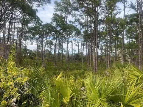 12144 Judson Ave, Port Charlotte, FL 33953