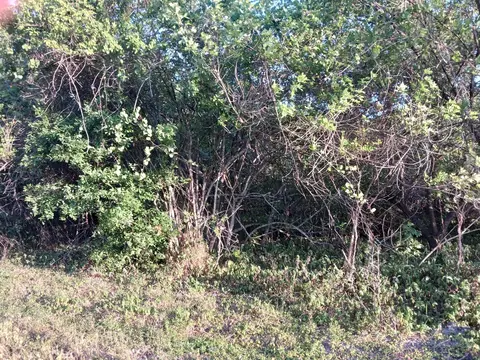 7025 NE 11th Ln, Okeechobee, FL 34974 photo 6