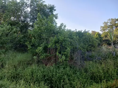 7025 NE 11th Ln, Okeechobee, FL 34974 photo 3