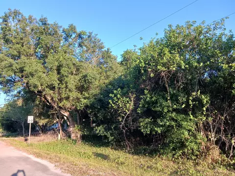 7025 NE 11th Ln, Okeechobee, FL 34974 photo 2