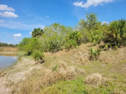 0 Cabbage Dr, Okeechobee, FL 34974 photo 5