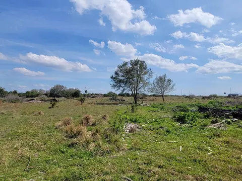0 Cabbage Dr, Okeechobee, FL 34974 photo 8
