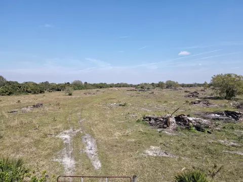 0 Cabbage Dr, Okeechobee, FL 34974 photo 11