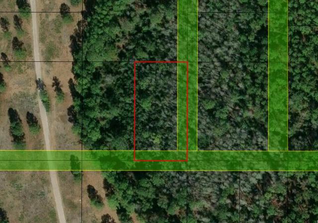 0 Poyner Rd, Polk City, FL 33868