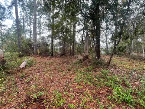 tbd Susan St, Interlachen, FL 32148 photo 5
