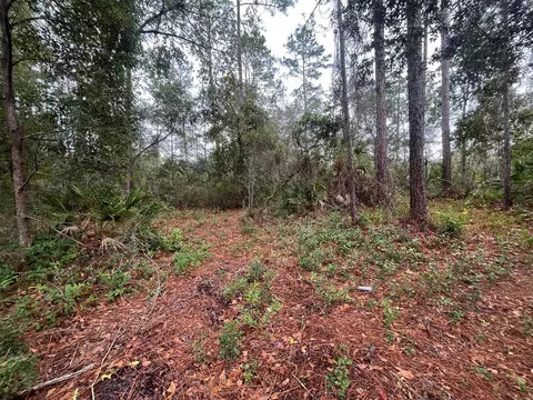 tbd Susan St, Interlachen, FL 32148 photo 4