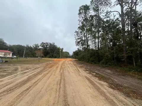 tbd Susan St, Interlachen, FL 32148 photo 8