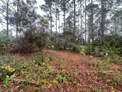 tbd Susan St, Interlachen, FL 32148 photo 7