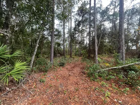 tbd Susan St, Interlachen, FL 32148 photo 3