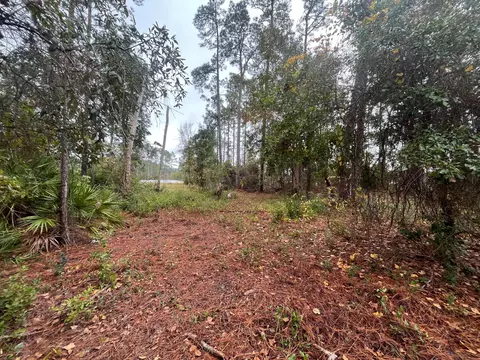tbd Susan St, Interlachen, FL 32148 photo 2