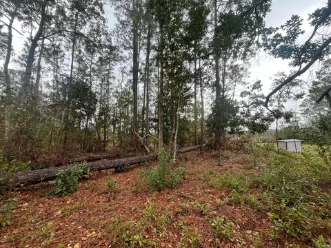 tbd Susan St, Interlachen, FL 32148 photo 6